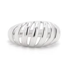Silberring