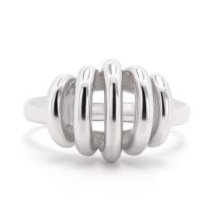 Silberring