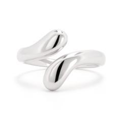Silberring